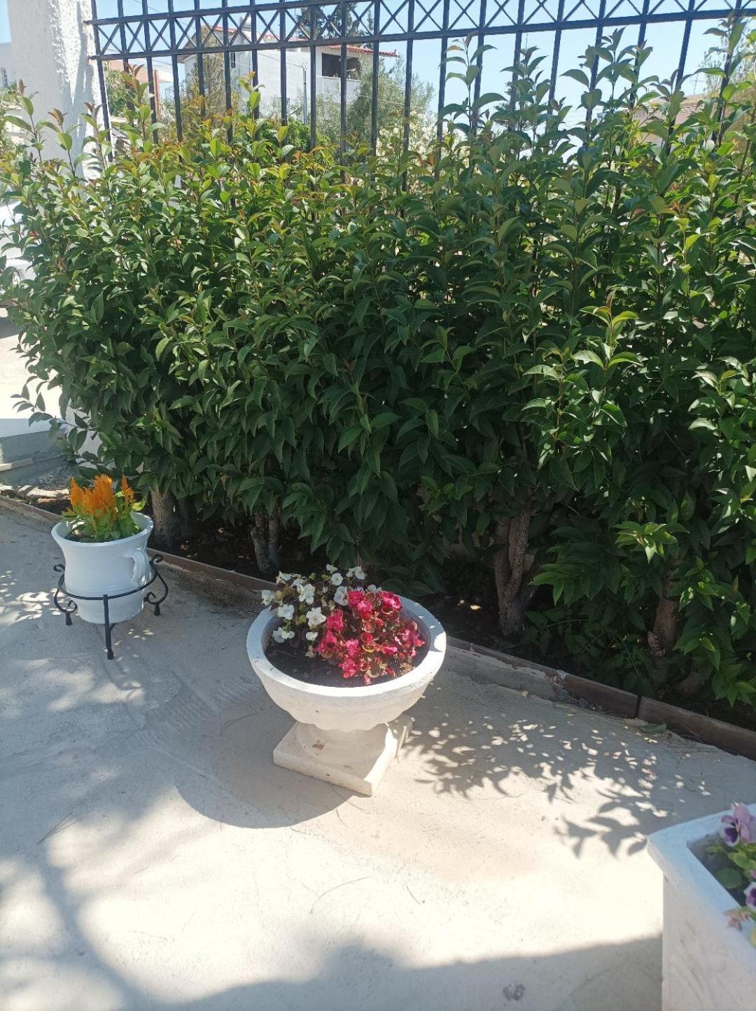 Selene House Villa Selinia ภายนอก รูปภาพ
